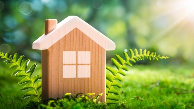 How to Make Your Home Environmentally Friendly
