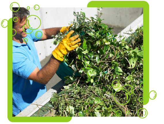 Garden waste removal St. Albans