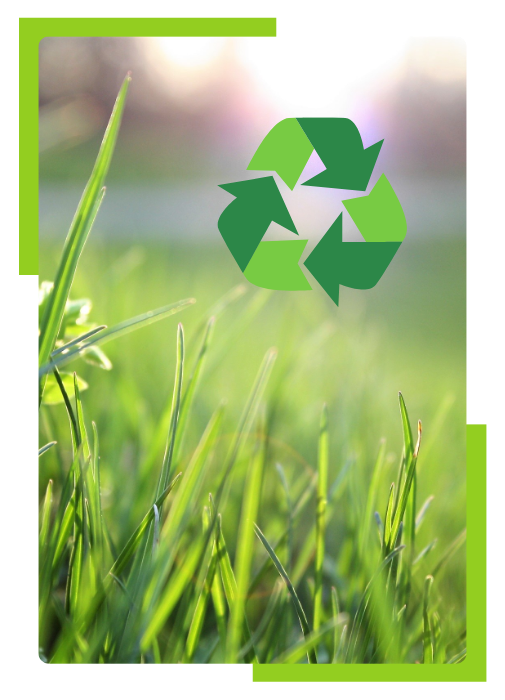 Professional Garden Waste Removal London