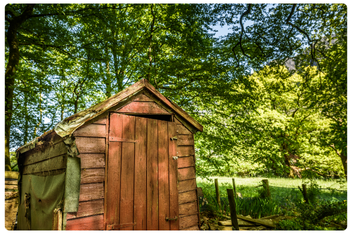 Shed Disposal London